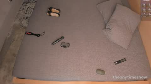 Snapshot of theanytimeshow chatting on 12/29/24, 01:45 Anny online show from 12/29/24, 01:45