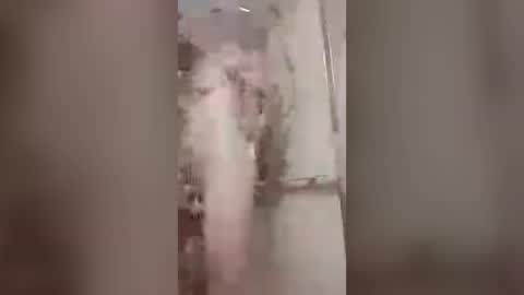thedailyshower online show from 07/06/26, 03:25