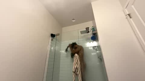 king capo thee online show from 12/26/24, 10:52