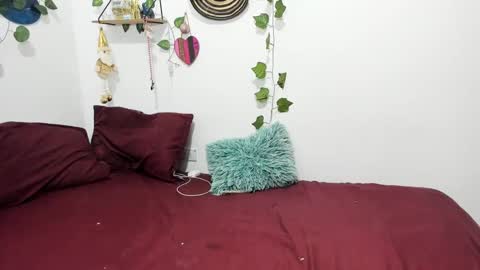 Snapshot of thefenix_jyk chatting on 01/24/25, 05:31 Ariamapola88 online show from 01/24/25, 05:31