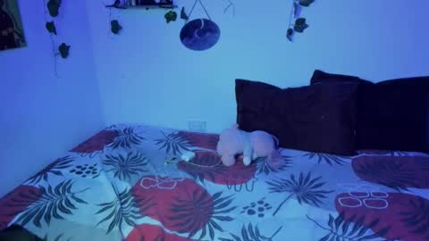 Snapshot of thefenix_jyk chatting on 11/16/25, 01:44 Ariamapola88 online show from 11/16/25, 01:44