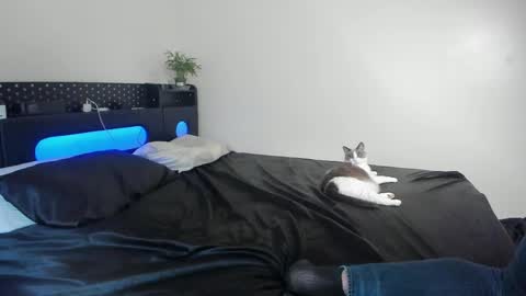 Johnny Stone online show from 04/22/26, 11:39