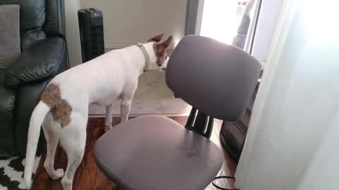 thekodyy online show from 11/15/25, 12:56