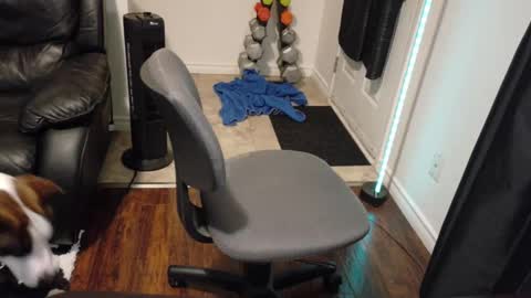 thekodyy online show from 11/21/25, 01:26