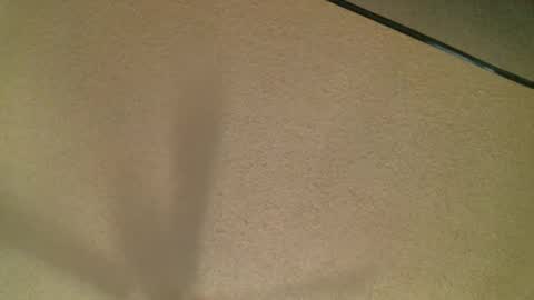 Daisy and Tim online show from 10/19/25, 03:51