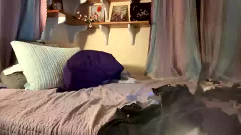 theonlyboi43ver online show from 12/17/25, 11:44