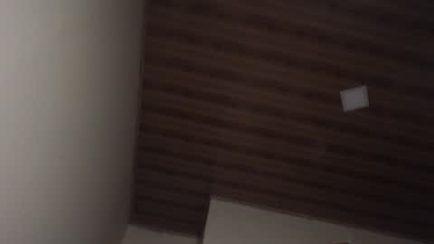 Snapshot of therazhanen chatting on 12/06/24, 06:48 Santiago Enrique online show from 12/06/24, 06:48