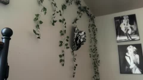 Snapshot of therealferrarii chatting on 05/08/26, 03:50 therealferrarii online show from 05/08/26, 03:50