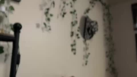 Snapshot of therealferrarii chatting on 05/10/26, 05:01 therealferrarii online show from 05/10/26, 05:01