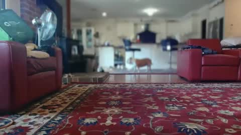 Snapshot of therealkurva4u chatting on 02/08/25, 05:08 therealkurva4u online show from 02/08/25, 05:08