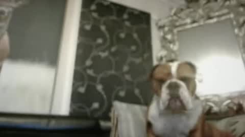 Snapshot of therealkurva4u chatting on 02/09/25, 02:29 therealkurva4u online show from 02/09/25, 02:29