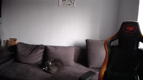 Nick   online show from 11/23/25, 08:47