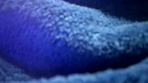 that would be telling online show from 02/16/26, 01:18