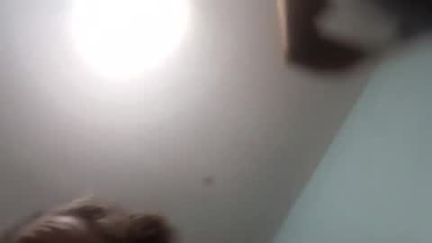 thetinyturtle online show from 01/15/26, 12:04