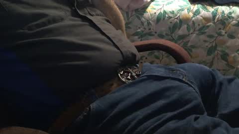 thetnguy online show from 12/21/24, 12:42