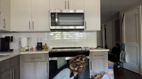 Sapphire the Vixen online show from 04/10/26, 02:55