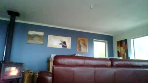 Snapshot of thickcockat71 chatting on 07/25/26, 08:17 Thickcockat71 online show from 07/25/26, 08:17