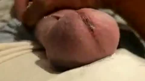 thisloadsforu online show from 07/12/26, 05:04