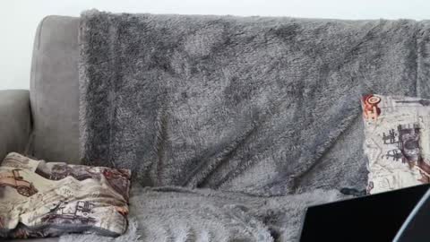 Sebastian online show from 01/08/25, 05:26