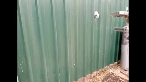 throbmasterr online show from 09/12/25, 09:48