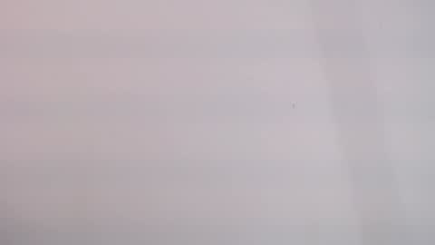 tihana online show from 12/25/24, 09:56