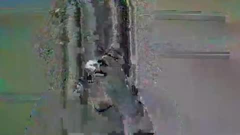 tifa_lockheart online show from 04/11/26, 11:03