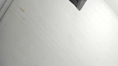 Tiffany online show from 12/22/25, 01:08