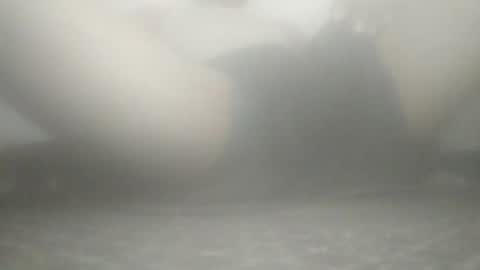 tiger005588 online show from 11/21/25, 09:08