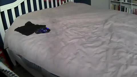 Snapshot of tigerek_i_m chatting on 02/11/25, 07:12 tigerek_i_m online show from 02/11/25, 07:12