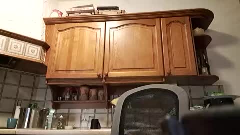 tigermatt76e online show from 03/01/26, 06:32