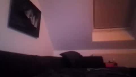 tigertrance online show from 11/17/25, 01:55