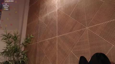 Snapshot of tim__fox chatting on 02/17/26, 12:01 Tim Fox online show from 02/17/26, 12:01