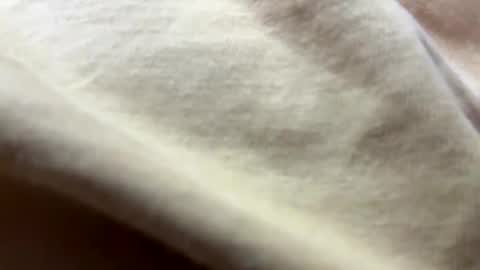 timber2255 online show from 10/31/25, 02:07