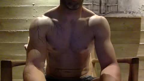 timber2255 online show from 12/03/25, 07:27