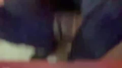 Timplaw online show from 01/03/25, 03:33