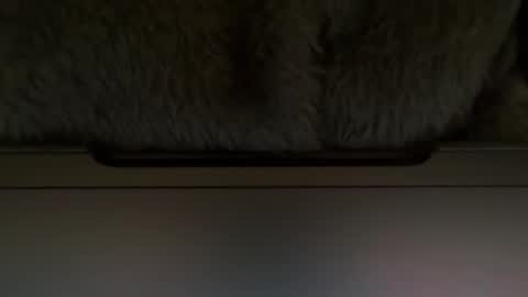 Timplaw online show from 02/11/25, 01:20