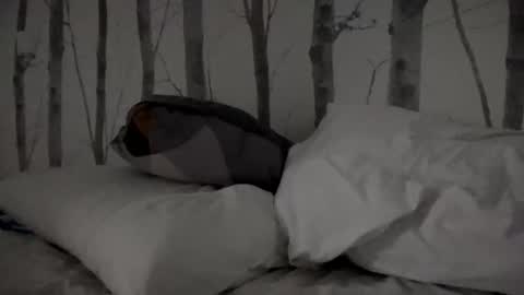 Tim online show from 03/11/25, 08:30