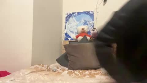 Wizard online show from 12/08/24, 07:00