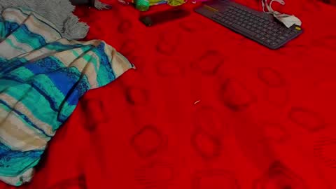 Snapshot of tina14v chatting on 12/15/24, 11:31 west tina online show from 12/15/24, 11:31