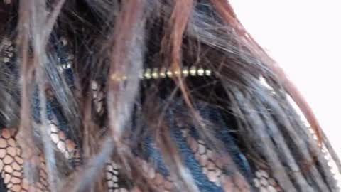 tinakay1 online show from 12/17/24, 12:11