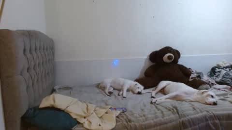 tini_mix206927 online show from 04/18/26, 08:31