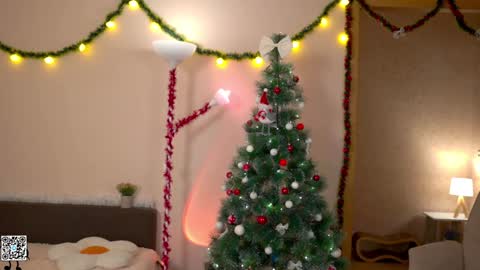 Snapshot of tiny_miracle chatting on 12/25/24, 04:54 Lyssa online show from 12/25/24, 04:54