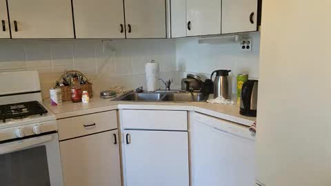 Joe online show from 12/21/24, 04:03