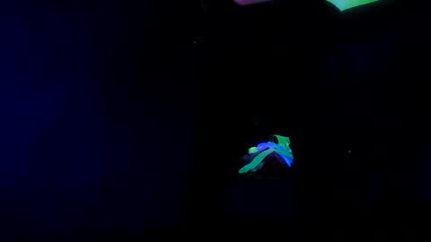 Snapshot of tneedick chatting on 02/21/25, 03:01 Sissy Boi online show from 02/21/25, 03:01