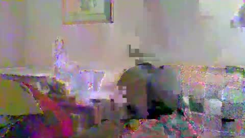 Vols online show from 11/23/25, 12:54