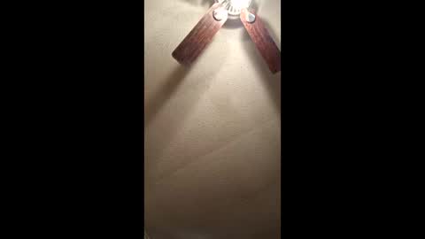 Vols online show from 12/17/25, 01:44