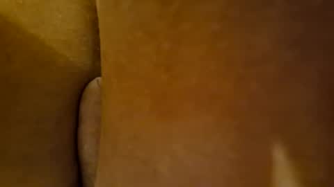 Snapshot of toadinhole chatting on 12/22/24, 03:55 Toady online show from 12/22/24, 03:55