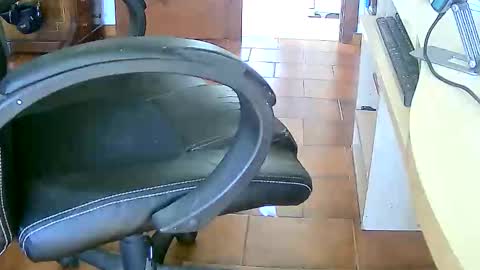 Tobiko online show from 02/17/26, 03:29