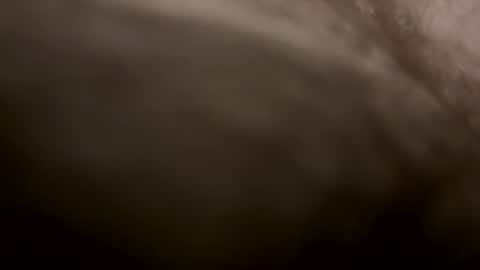 toesturnmeon online show from 10/11/25, 07:29