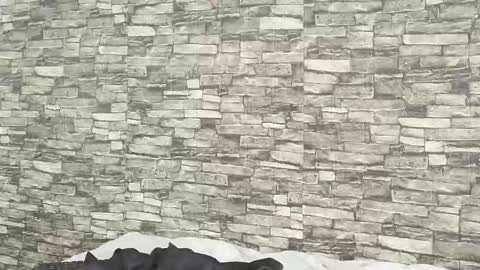 Tokyo online show from 01/05/26, 07:39